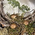 handmade moss rustic door & wall wreath moss & fern