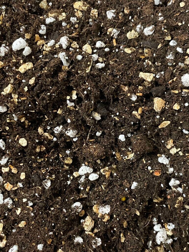 Soil