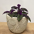 monstera & fern leaf design concrete planter for 9cm pots (copy)