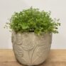 monstera & fern leaf design concrete planter for 9cm pots (copy)