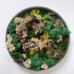 Handmade Preserved Moss Wall Art FAIRY CIRCLE