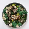 handmade preserved moss wall art with wooden log pieces in a wooden circle on white wall background