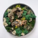 Handmade Preserved Moss Wall Art FAIRY CIRCLE