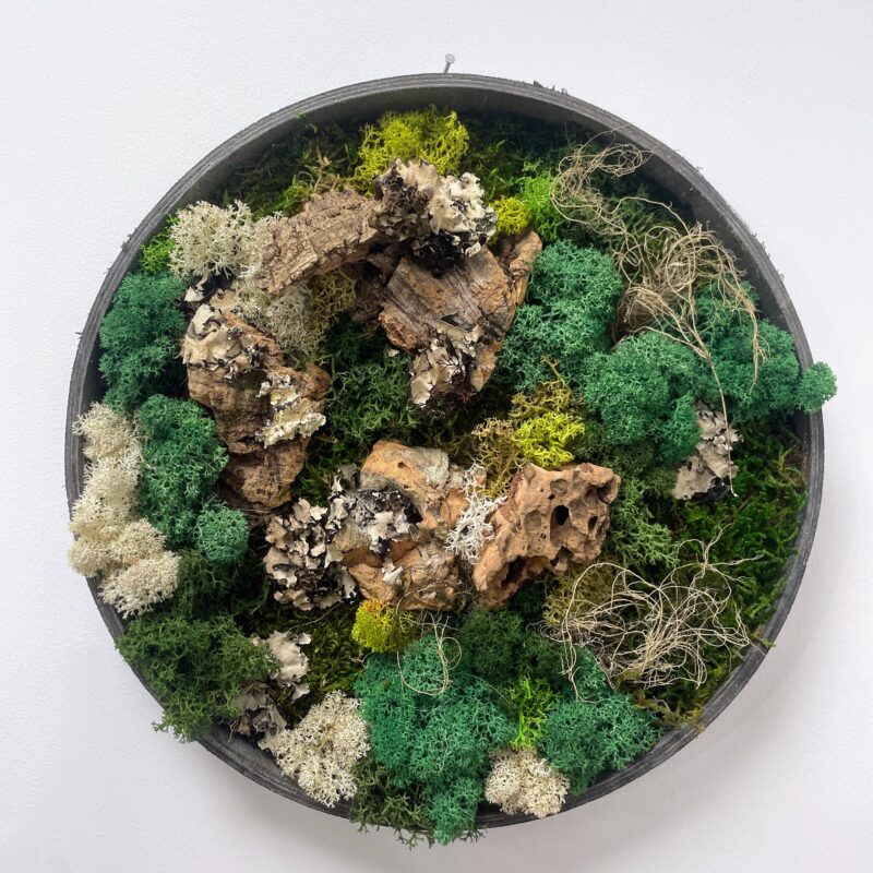 handmade preserved moss wall art fairy circle (copy) handmade preserved moss wall art fairy circle (copy)
