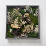 Handmade Preserved Moss Wall Art FAIRY FOREST
