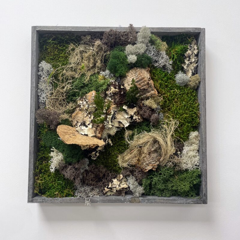 handmade preserved moss wall art fairy circle (copy)