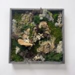 Handmade Preserved Moss Wall Art FAIRY FOREST