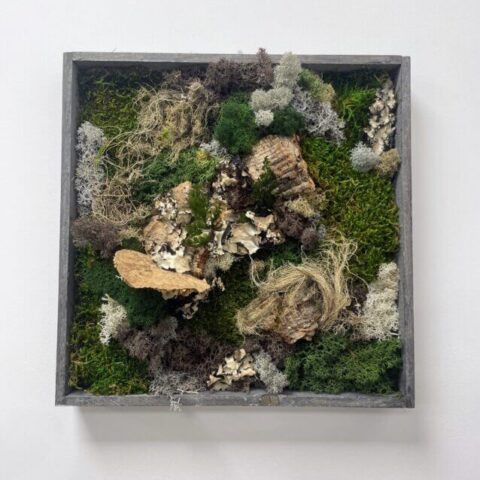 handmade preserved moss wall art fairy circle (copy)