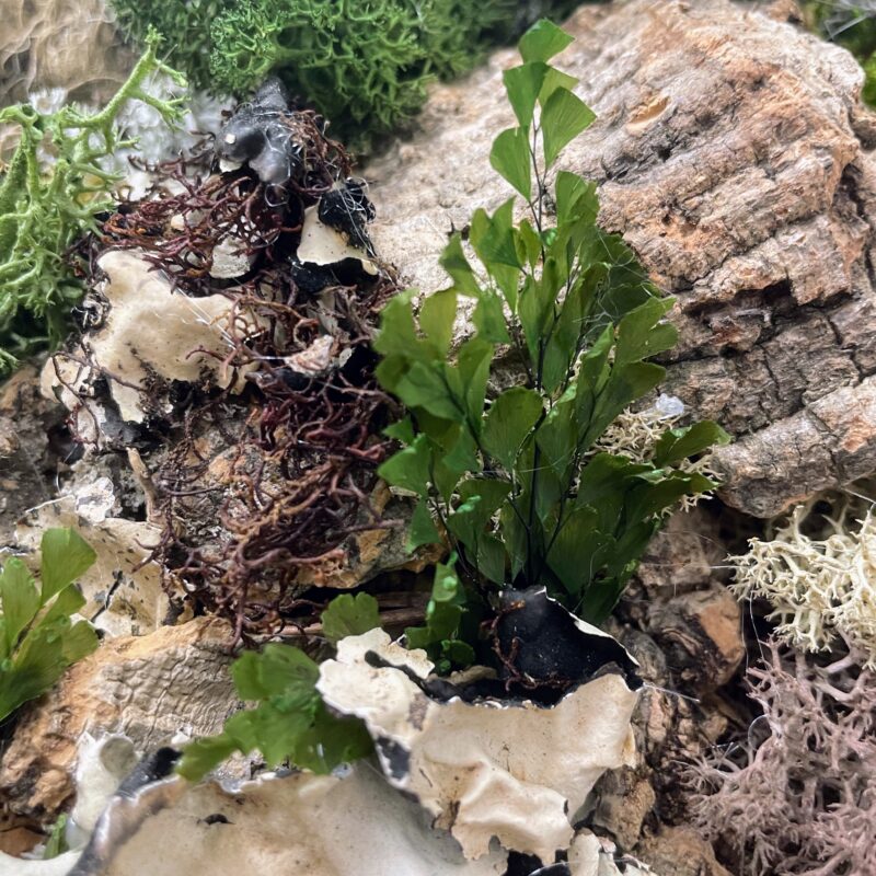 handmade preserved moss wall art fairy forest handmade preserved moss wall art fairy forest