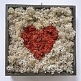 handmade preserved moss wall art in wooden square frame. pale coloured moss with a bright red moss shaped heart in centre