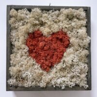 handmade preserved moss wall art in wooden square frame. pale coloured moss with a bright red moss shaped heart in centre