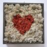 handmade preserved moss wall art in wooden square frame. pale coloured moss with a bright red moss shaped heart in centre