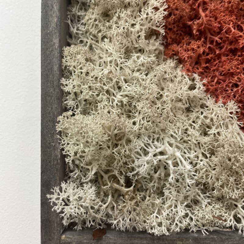 handmade preserved moss wall art heart handmade preserved moss wall art heart