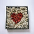 handmade preserved moss wall art heart