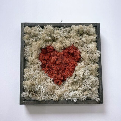handmade preserved moss wall art heart