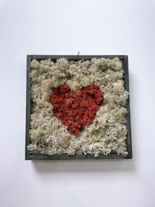 handmade preserved moss wall art heart