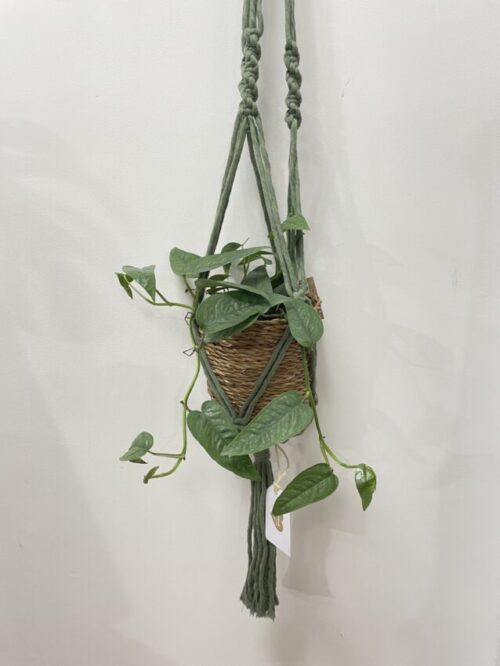 handmade chunky macrame plant hanger by oliwia khaki green