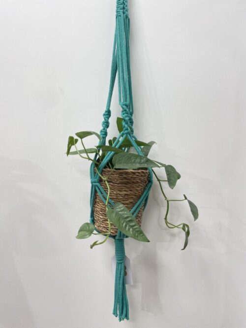 handmade chunky macrame plant hanger by oliwia aquamarine
