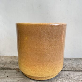 Honey Rustic Concrete Planter For 12cm pot Plant Accessories boho 3