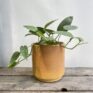 honey rustic concrete planter for 18cm pot
