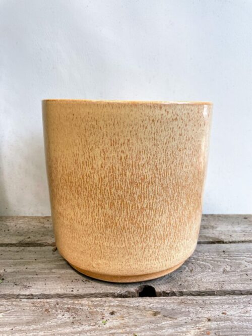 honey rustic concrete planter for 18cm pot