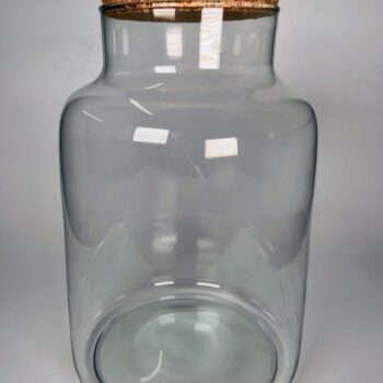 Eco Large Closed Terrarium Glass Container Cork Lid Closed Containers carpet moss 2