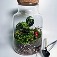 eco large closed terrarium glass container cork lid
