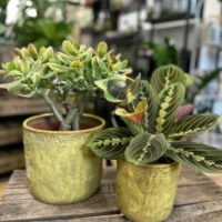 yellow glazed pot
