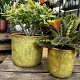 yellow glazed pot