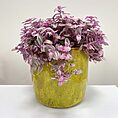 green iron stone pink glazed pot