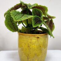 green iron stone pink glazed pot