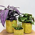 green iron stone pink glazed pot