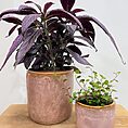 green iron stone pink glazed pot
