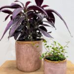 Pink Glazed Pot