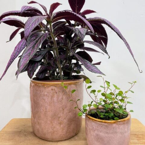 green iron stone pink glazed pot
