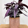 green iron stone pink glazed pot