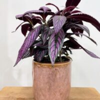 green iron stone pink glazed pot