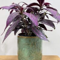 green iron stone pink glazed pot