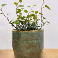 green iron stone pink glazed pot