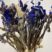 dried natural flowers rustic bouquet blue white