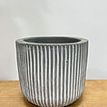 ridge rustic concrete planter for 6cm pots