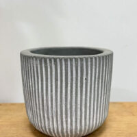 ridge rustic concrete planter for 6cm pots