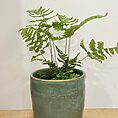 img 4166