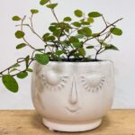 White Smiling Face Head Ceramic Pot 6cm