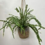 Grey Strip Rustic Hanging Basket For 14cm pot