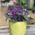 yellow glazed pot
