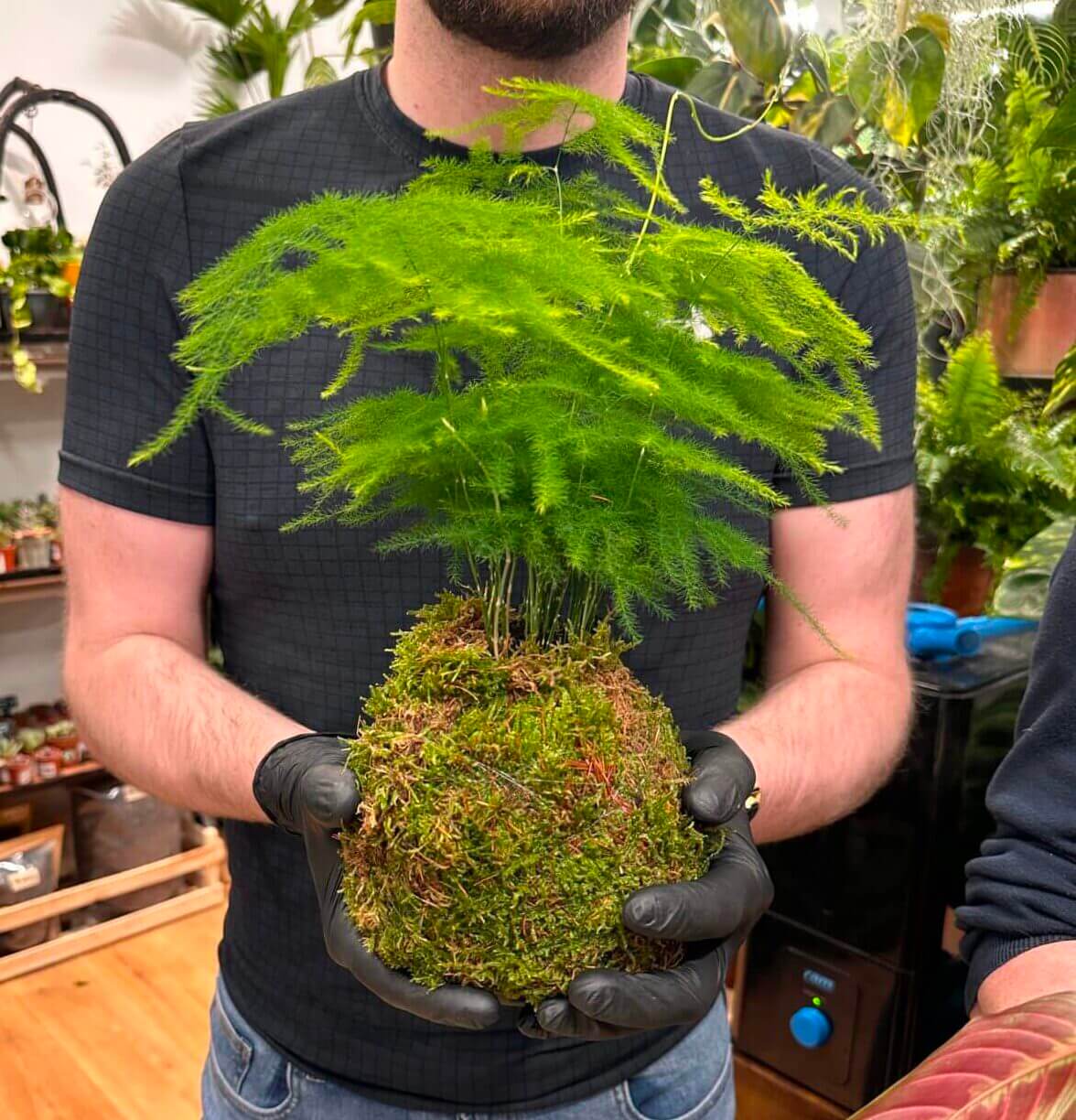 Young man holding a kokedama plant in a lush indoor greenhouse setting.