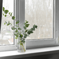 fresh eucalyptus bouquet for home spa and vases