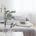 fresh eucalyptus bouquet for home spa and vases