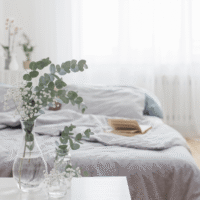 fresh eucalyptus bouquet for home spa and vases